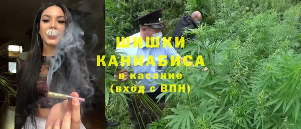 гидра Алексин