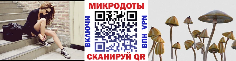 купить закладку  Первоуральск  Псилоцибиновые грибы GOLDEN TEACHER 